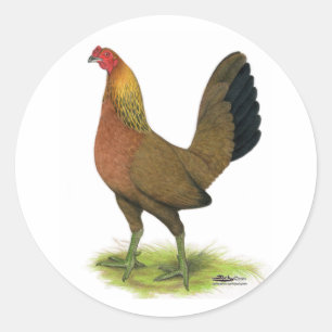 Sticker Rond Poule de combat :  crête de pois