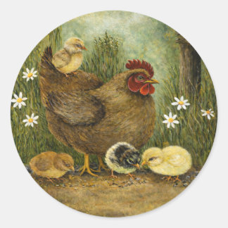 Sticker Rond Poule mère avec poussins se nourrissant de graines