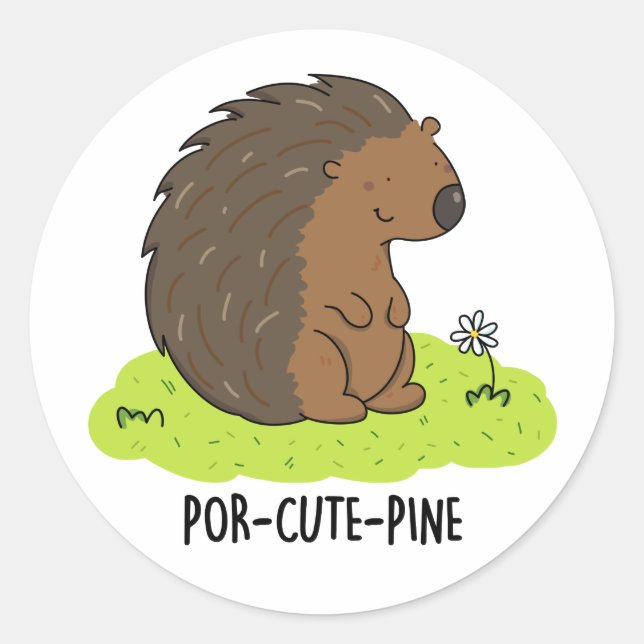 Sticker Rond Poulet De Porcupine Drôle De Por Cute-Pin (Devant)