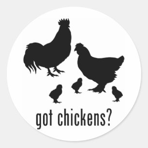 Sticker Rond Poulets