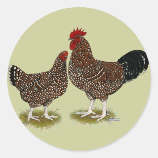 Sticker Rond Poulets Sussex Speckés