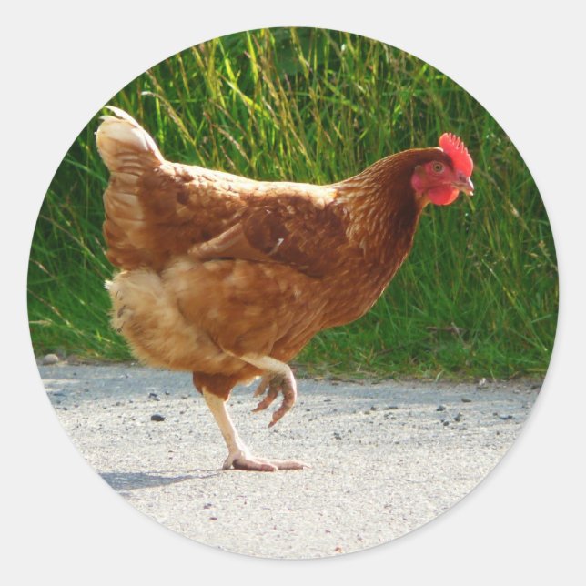 Sticker Rond Pourquoi le poulet a-t-il traversé la route ? (Devant)