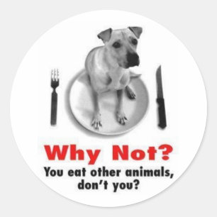 Sticker Rond Pourquoi pas ? (Version d'autocollant)