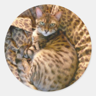 Sticker Rond Pouvez-vous me voir ?