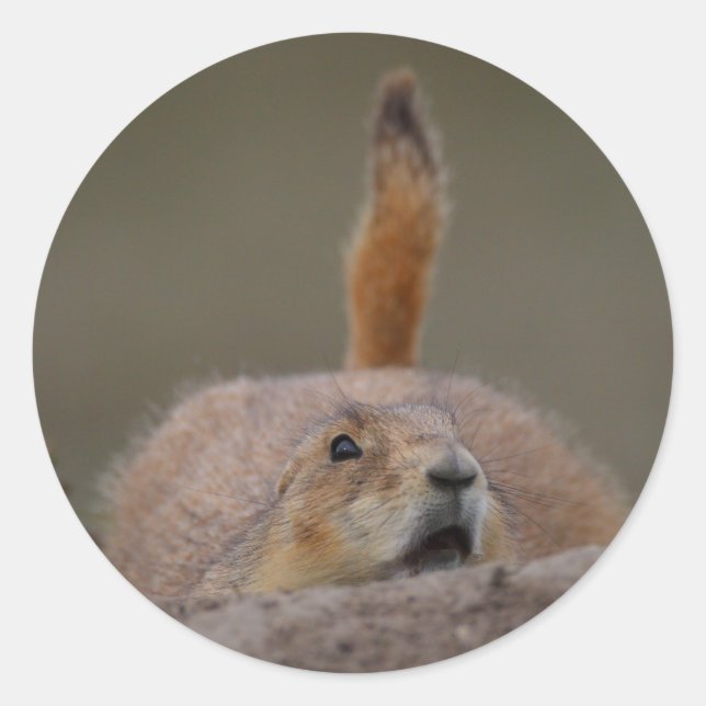 Sticker Rond prairie (Devant)