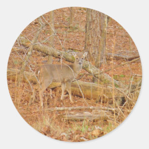 Sticker Rond Premier hiver du Cerf de Bébé