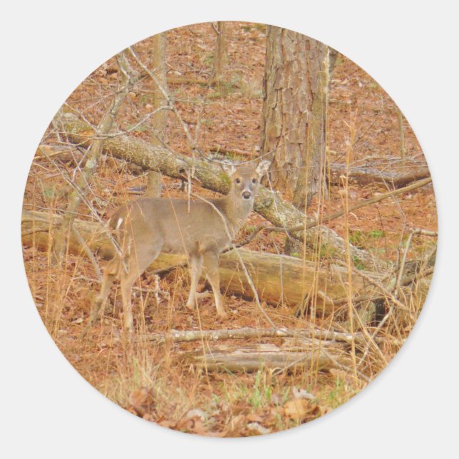 Sticker Rond Premier hiver du Cerf de Bébé (Devant)