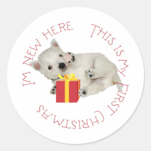 Sticker Rond Premier Noël de chiot Westie