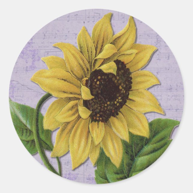 Sticker Rond Pretty Sunflower (Devant)