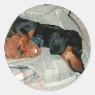 Sticker Rond Pretzel & Pal