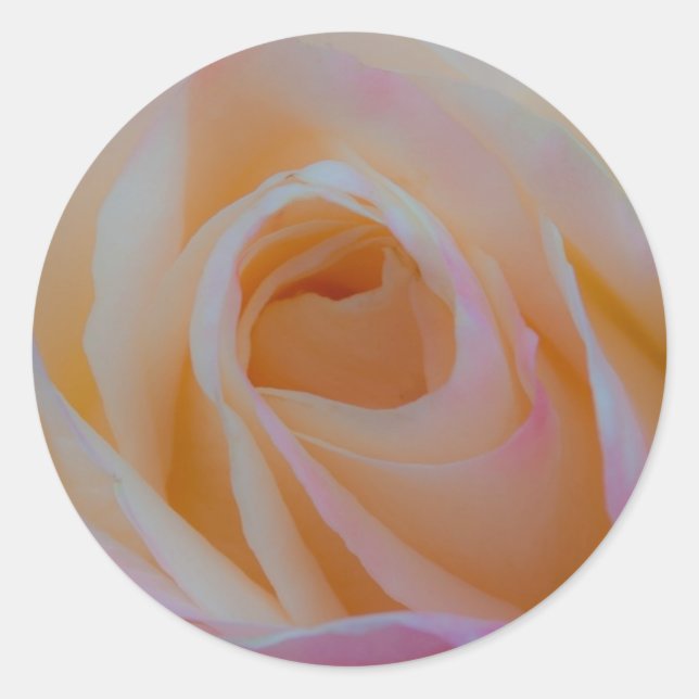 Sticker Rond Princesse Diana Rose (Devant)