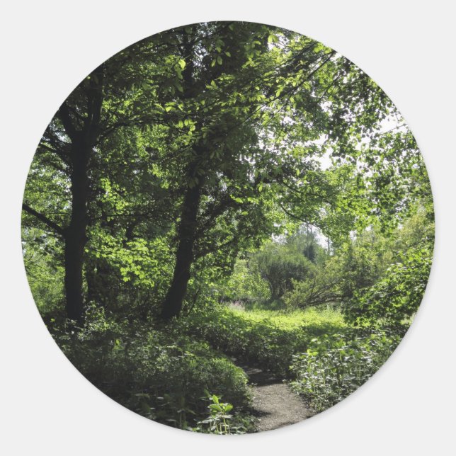 Sticker Rond Printemps dans les bois 03 (Devant)