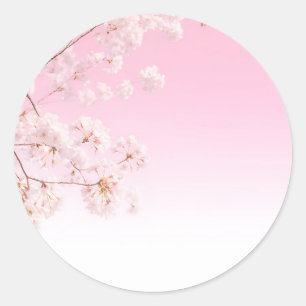 Sticker Rond Printemps Sérénité Fleur de Cerisier Rose