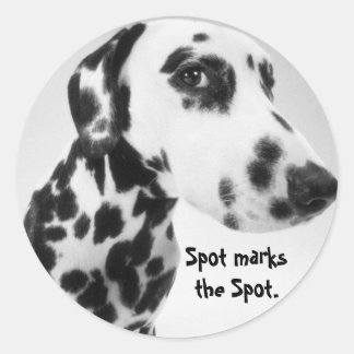 Sticker Rond Produits dalmatiens