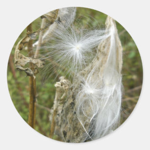 Sticker Rond Produits de coordination des semences de Milkweed