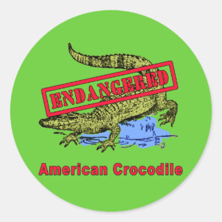 Sticker Rond Produits de crocodile américain en danger