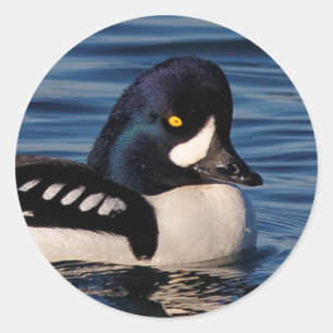 Sticker Rond Profil d'un oeil d'or de Barrow