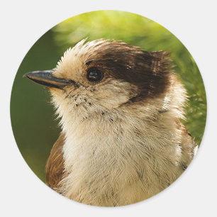 Sticker Rond Profil d'une Jay gris mou / Whiskeyjack