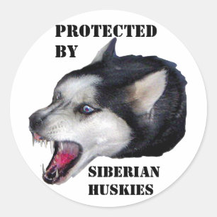 STICKER ROND PROTÉGÉ PAR, LES POUSSEURS SIBÉRIENS