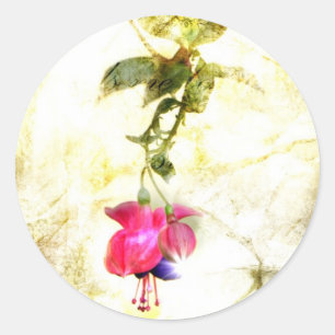 Sticker Rond Psaume 23