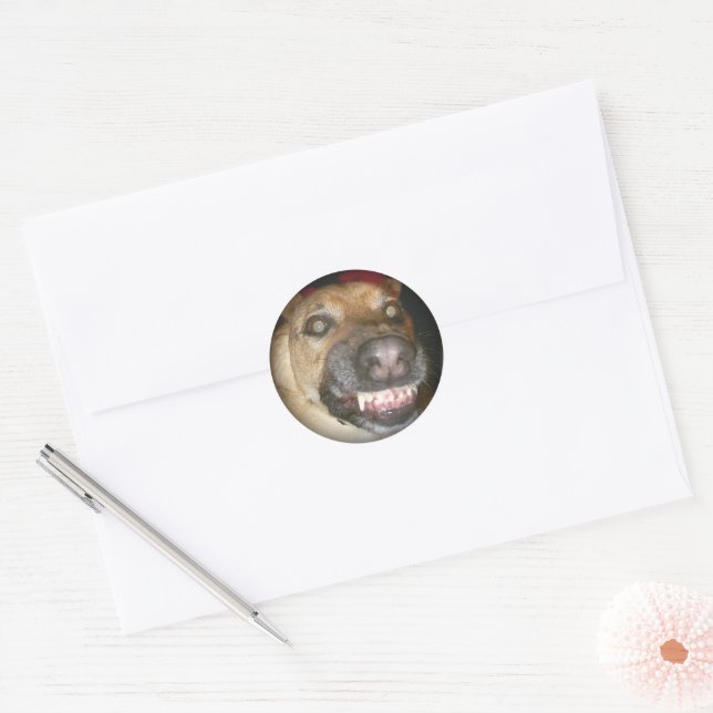 Sticker Rond Psycho berger allemand chien effrayant mal (Enveloppe)