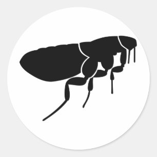 Sticker Rond Puce