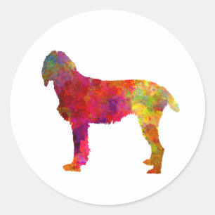 Sticker Rond Pudelpointer in watercolor
