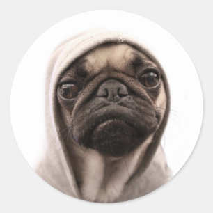 Sticker Rond Pug