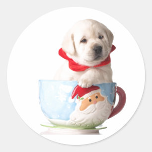 STICKER ROND PUPPER DANS UNE TASSE CARTE DE NOËL ENVELOPE SEAL