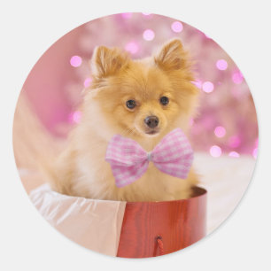 Sticker Rond Puppy de Christmas