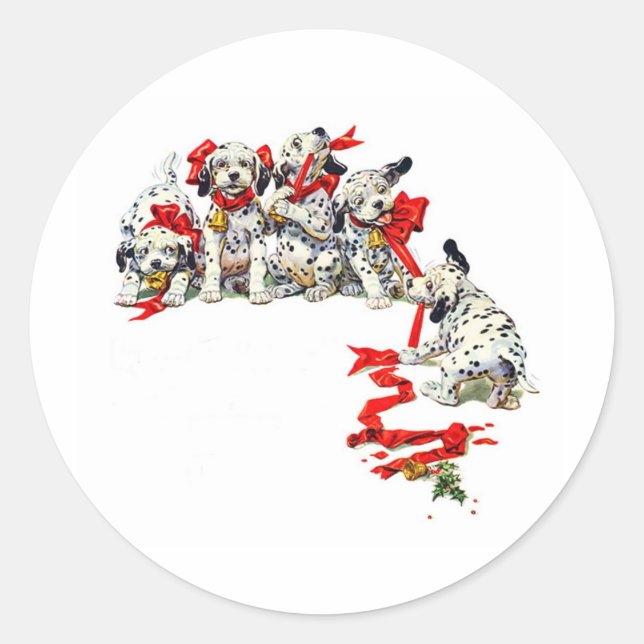 Sticker Rond Pups de Dalmatie (Devant)