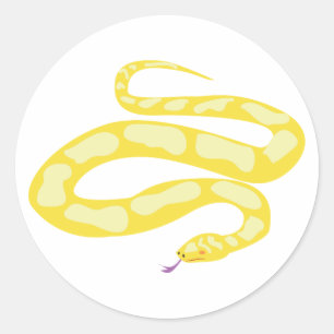 Sticker Rond Python jaune