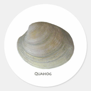 Sticker Rond Quahog Clam