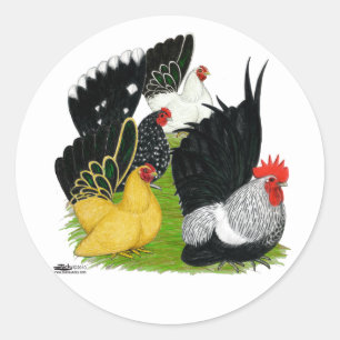 Sticker Rond Quatuor japonais Bantam