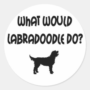 Sticker Rond Que Ferait Le Labradoodle ? T-shirts et cadeaux