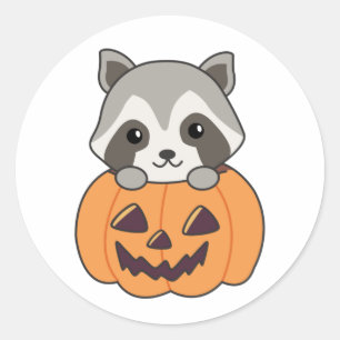Sticker Rond Raccin En Citrouille Sweet Raccoon Halloween heure