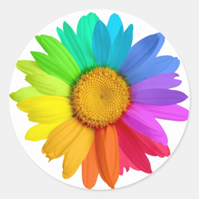Sticker Rond Rainbow Daisy (Devant)