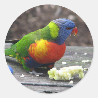Sticker Rond Rainbow Lorikeet