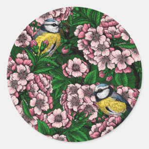 Sticker Rond Rameaux bleus dans le cerisier en fleurs en vert