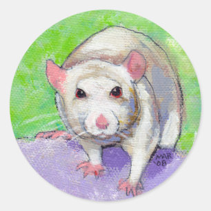 Sticker Rond rat animal de compagnie mignon coloré peinture acr