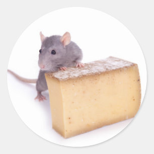 Sticker Rond rat au fromage