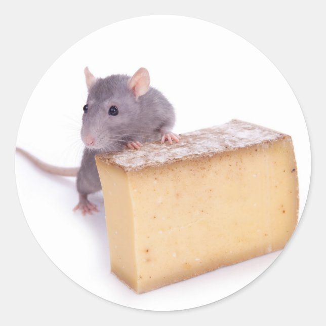Sticker Rond rat au fromage (Devant)