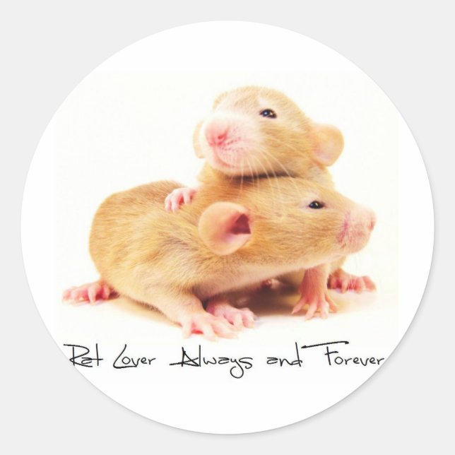 Sticker Rond Rat Lover Toujours et toujours (Devant)