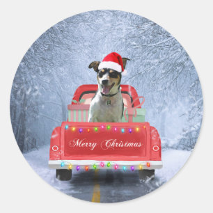 Sticker Rond Rat Terrier Chien en neige assis sur le camion de 