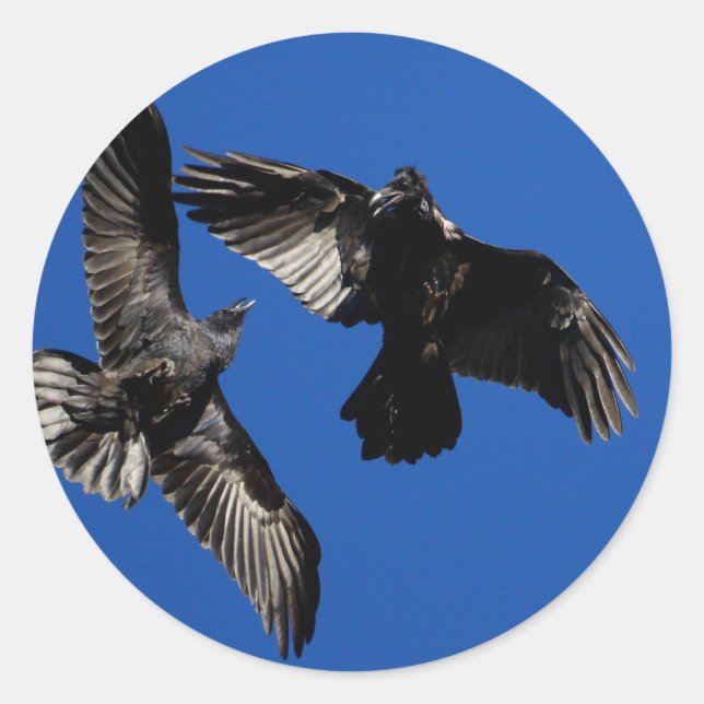 Sticker Rond ravages (Devant)