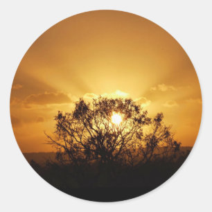 Sticker Rond rayons du soleil