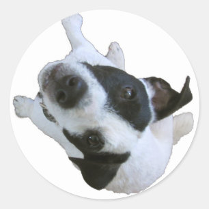 Sticker Rond Recherche