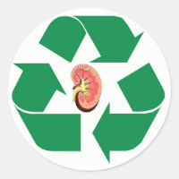 Recycler le rein