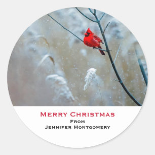 Sticker Rond Red Cardinal dans Winter Nature Photo de Christmas