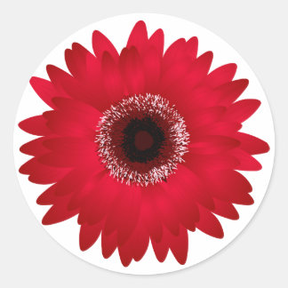 Sticker Rond Red Gerbera Daisy